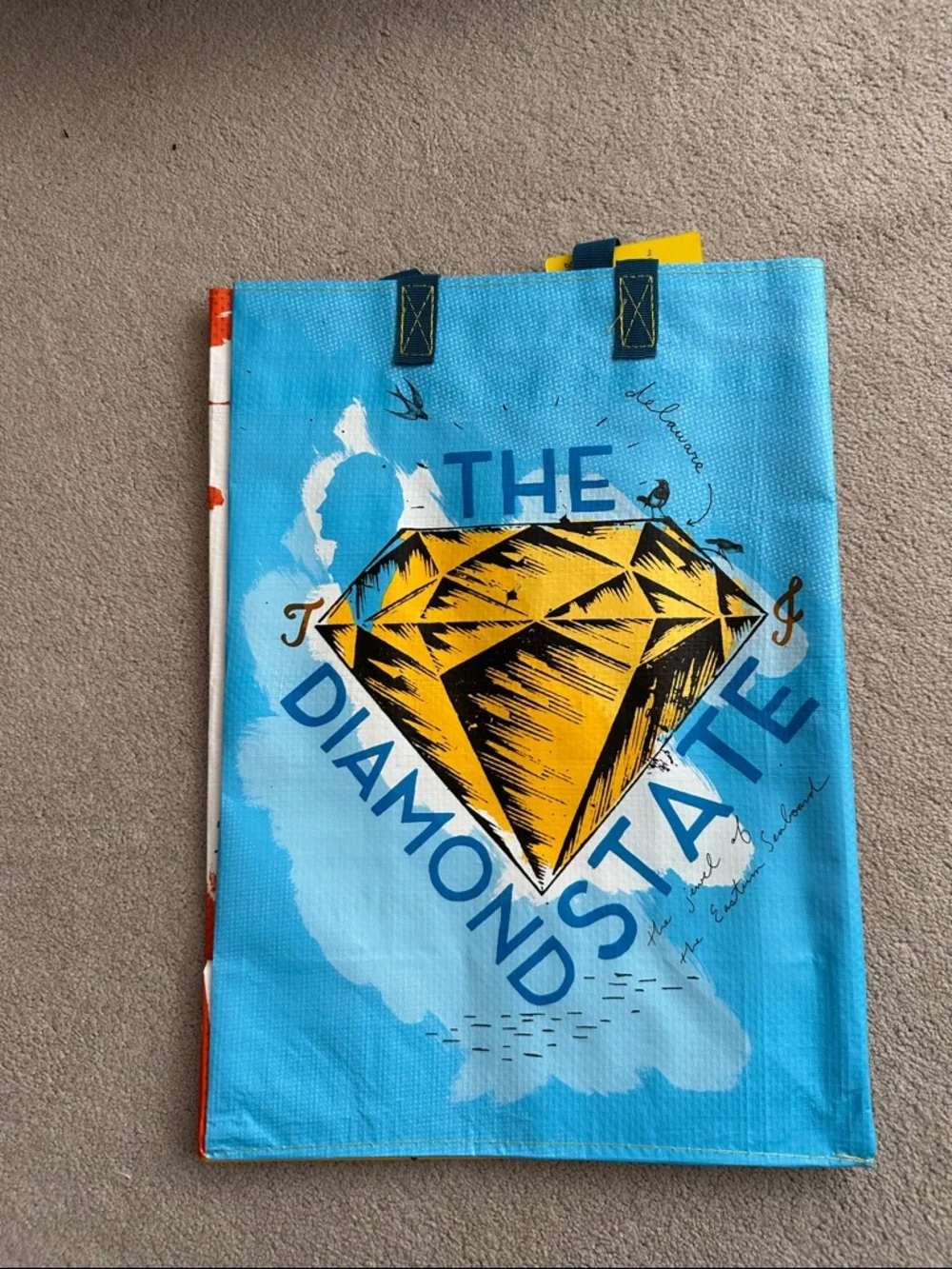 Trader Joe's mystery bag - Delaware - NWT